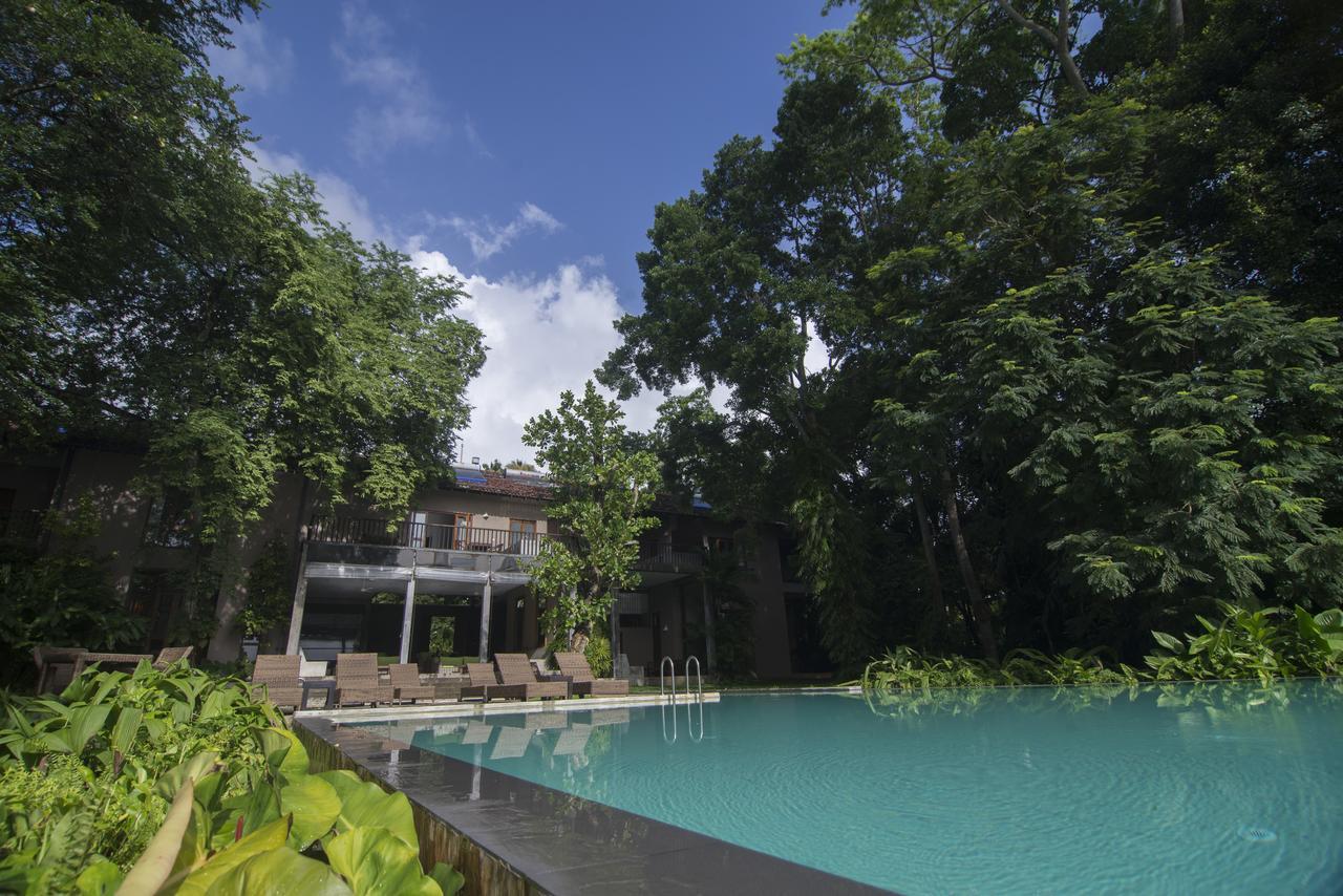 Roman Lake Ayurveda Boutique Resort - Level 1 Certified Ахунгалла Экстерьер фото